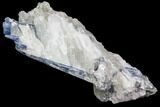 Vibrant Blue Kyanite Crystal - Brazil #80379-1